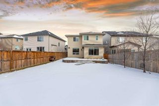 Photo 37: 677 Panatella Boulevard NW in Calgary: Panorama Hills Detached for sale : MLS®# A2107907