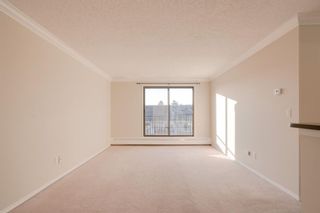 Photo 13: 412 727 56 Avenue SW in Calgary: Windsor Park Apartment for sale : MLS®# A1160934