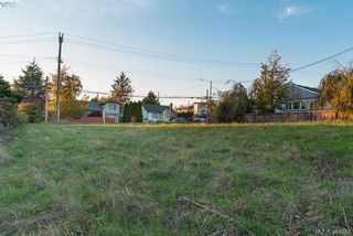 Photo 6: 3281 Cedar Hill Rd in VICTORIA: SE Cedar Hill Land for sale (Saanich East)  : MLS®# 773555