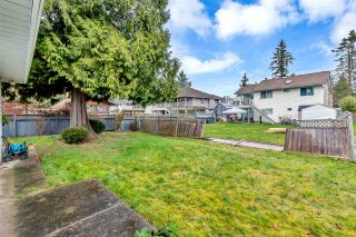 Photo 18: 15531 91A Avenue in Surrey: Fleetwood Tynehead House for sale in "BERKSHIRE PARK" : MLS®# R2552903