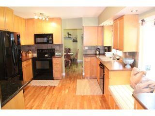 Photo 4: 9288 204 Street in Langley: Walnut Grove House for sale : MLS®# F1447455