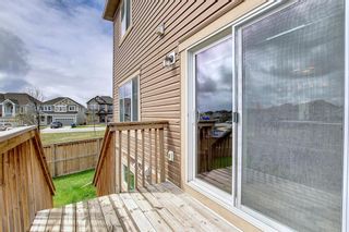 Photo 46: 320 VIEWPOINTE Terrace: Chestermere Semi Detached for sale : MLS®# A1215425