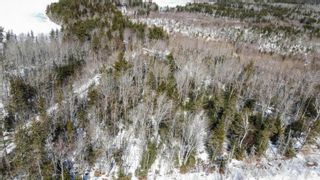 Photo 9: Lot 1 West Dalhousie Road in Lake La Rose: Annapolis County Vacant Land for sale (Annapolis Valley)  : MLS®# 202303950