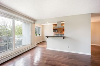 Photo 7: 202 4455C Greenview Drive NE in Calgary: Greenview Apartment for sale : MLS®# A1110677