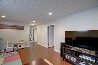 Photo 28: 1604 22A Street NW in Calgary: Hounsfield Heights/Briar Hill Detached for sale : MLS®# A1222258