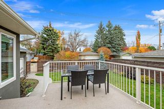 Photo 45: 24 Lenton Place SW in Calgary: North Glenmore Park Detached for sale : MLS®# A2101319