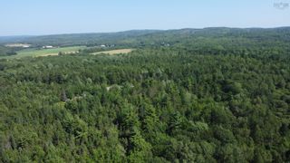 Photo 11: Lot 1 1215 Middle Road in North Williamston: Annapolis County Vacant Land for sale (Annapolis Valley)  : MLS®# 202325188