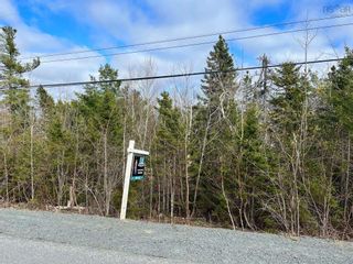 Photo 2: 19 Limestone Avenue in Fall River: 30-Waverley, Fall River, Oakfiel Vacant Land for sale (Halifax-Dartmouth)  : MLS®# 202209900