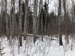 Photo 45: Recreational Land North-East of White Fox in Torch River: Lot/Land for sale (Torch River Rm No. 488)  : MLS®# SK909033