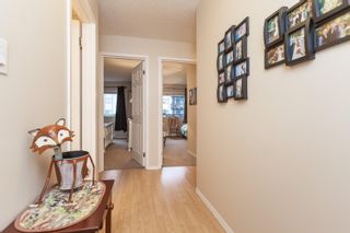 Photo 5: 122 12170 222 Street in Maple Ridge: West Central Condo for sale in "WILDWOOD TERRACE" : MLS®# R2711632