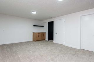 Photo 19: 3110 Doverville Crescent SE in Calgary: Dover Semi Detached (Half Duplex) for sale : MLS®# A2132269