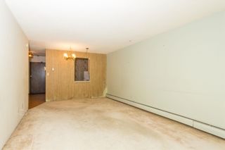 Photo 11: 204 1710 W 13TH Avenue in Vancouver: Fairview VW Condo for sale in "PINE RIDGE" (Vancouver West)  : MLS®# R2725281