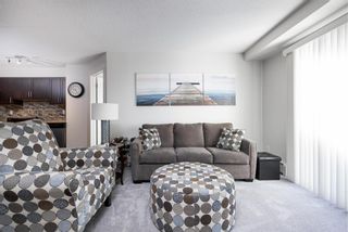 Photo 10: 4308 279 Copperpond Common SE in Calgary: Copperfield Apartment for sale : MLS®# A2032683