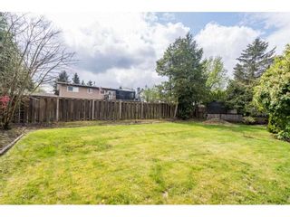 Photo 32: 22908 123RD Avenue in Maple Ridge: East Central House for sale : MLS®# R2571429