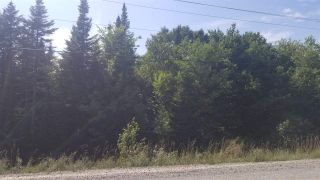 Photo 3: Lot 1 Moose River Road in Lindsay Lake: 35-Halifax County East Vacant Land for sale (Halifax-Dartmouth)  : MLS®# 201921607