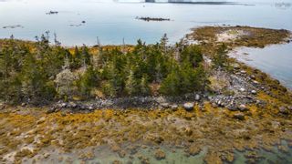 Photo 7: Squirrel Island in Forbes Point: 407-Shelburne County Vacant Land for sale (South Shore)  : MLS®# 202325527