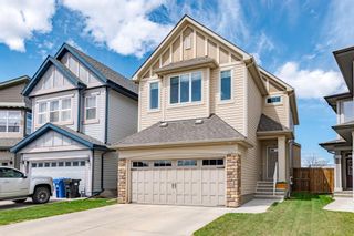 Main Photo: 247 Walden Mews SE in Calgary: Walden Detached for sale : MLS®# A1218851