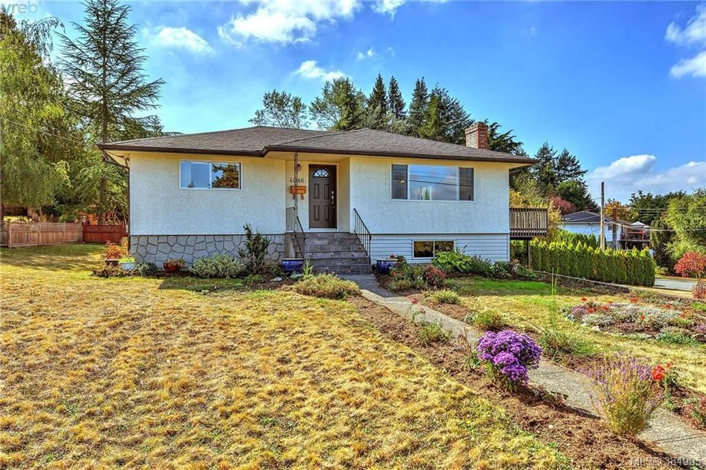 Main Photo: 4086 N Raymond St in VICTORIA: SW Glanford House for sale (Saanich West)  : MLS®# 773862