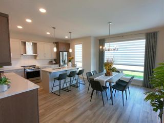 Photo 10: 25 Zimmerman Drive in Winnipeg: House for sale (1H)  : MLS®# 202121732
