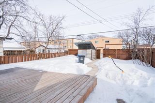 Photo 26: 131 Whittier Avenue E in Winnipeg: House for sale : MLS®# 202405436