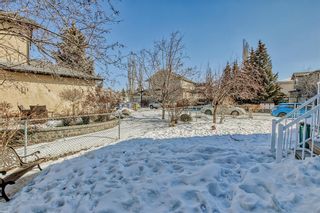 Photo 50: 56 Scimitar Point NW in Calgary: Scenic Acres Detached for sale : MLS®# A2033816