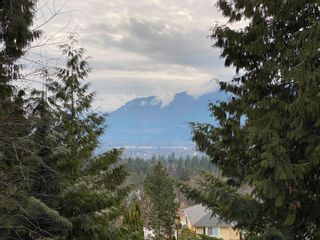 Photo 28: 40539 THUNDERBIRD Ridge in Squamish: Garibaldi Highlands House for sale : MLS®# R2654832