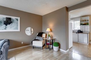 Photo 5: 30 Martindale Boulevard NE in Calgary: Martindale Detached for sale : MLS®# A1111096