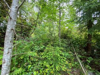 Photo 11: LOT 10 Rainforest Lane in Ucluelet: PA Ucluelet Land for sale (Port Alberni)  : MLS®# 950128
