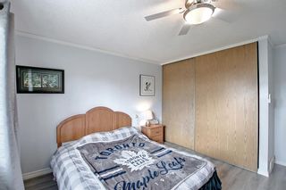 Photo 20: 23 Emberdale Way SE: Airdrie Detached for sale : MLS®# A2022990