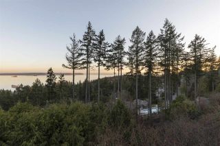 Photo 5: 5056 PINETREE CRESCENT in West Vancouver: Upper Caulfeild House for sale : MLS®# R2430460