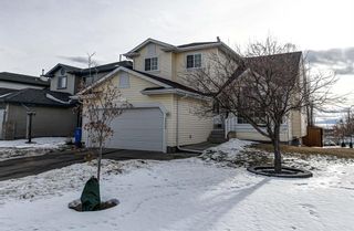Main Photo: 202 Royal Birch View NW in Calgary: Royal Oak Detached for sale : MLS®# A2018751