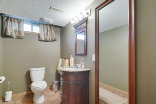 Photo 20: 256 COVENTRY Green NE in Calgary: Coventry Hills Detached for sale : MLS®# A1024304