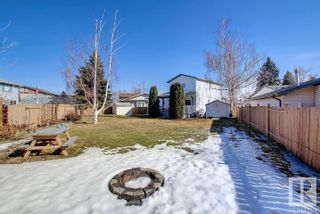 Photo 46: 17210 95 Street in Edmonton: Zone 28 House for sale : MLS®# E4286637