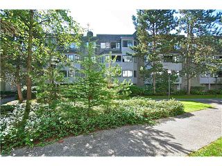 Photo 8: 506 9890 MANCHESTER Drive in Burnaby: Cariboo Condo for sale in "BROOKSIDE COURT" (Burnaby North)  : MLS®# V1027608