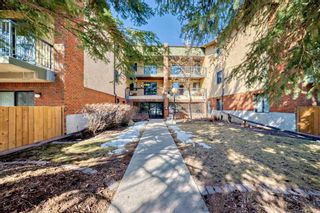 Main Photo: 211 1919 36th Street SW in Calgary: Killarney/Glengarry Apartment for sale : MLS®# A2120908
