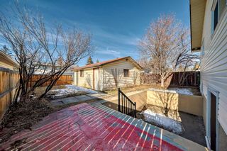 Photo 44: 3224 108 Avenue SW in Calgary: Cedarbrae Detached for sale : MLS®# A2124475