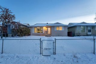 Main Photo: 3631 Dover Ridge Drive SE in Calgary: Dover Detached for sale : MLS®# A2011618