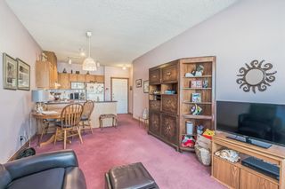 Photo 17: 124 1920 14 Avenue NE in Calgary: Mayland Heights Apartment for sale : MLS®# A2049115