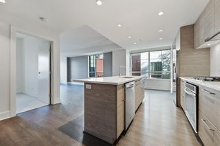 Photo 5: 315 38 9 Street NE in Calgary: Bridgeland/Riverside Apartment for sale : MLS®# A1257381
