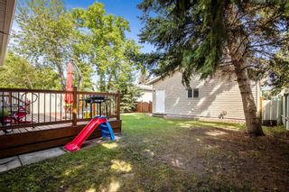 Photo 32: 69 Dovercliffe Close SE in Calgary: Dover Detached for sale : MLS®# A1243556