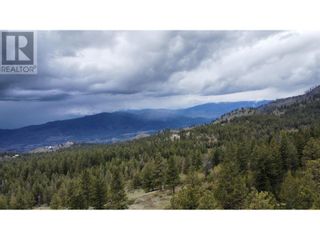 Photo 9: 1375 Bullmoose Way in Osoyoos: Vacant Land for sale : MLS®# 10310061