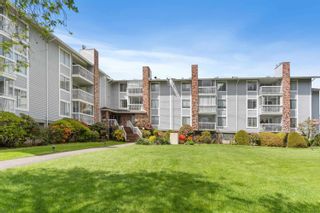 Main Photo: 336 5379 205 Street in Langley: Langley City Condo for sale in "HERITAGE MANOR" : MLS®# R2880626
