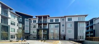 Main Photo: 1209 681 Savanna Boulevard NE in Calgary: Saddle Ridge Apartment for sale : MLS®# A2128953