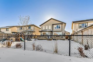 Photo 42: 38 ELGIN MEADOWS Link SE in Calgary: McKenzie Towne Detached for sale : MLS®# A2012282