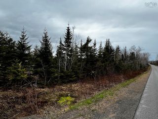 Photo 4: 67 acres Hardwood Hill Road in Hardwood Hill: 108-Rural Pictou County Vacant Land for sale (Northern Region)  : MLS®# 202308537