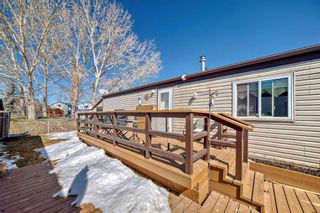 Photo 29: 173 Erin Woods Circle SE in Calgary: Erin Woods Detached for sale : MLS®# A2120375