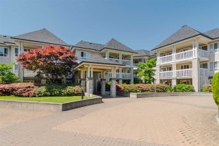 Photo 18: 239 22020 49 Avenue in Langley: Murrayville Condo for sale in "MURRAY GREEN" : MLS®# R2373423