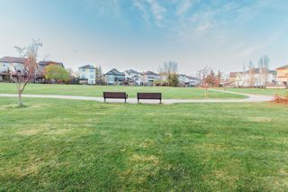 Photo 54: 217 Crystal Shores Drive: Okotoks Detached for sale : MLS®# A2040501