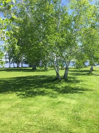 Photo 35: 221 THUNDER Bay in Buffalo Point: R17 Residential for sale : MLS®# 202219195