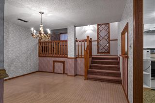 Photo 33: 19 Zachary Drive in St Andrews: Parkdale Residential for sale (R13)  : MLS®# 202300774